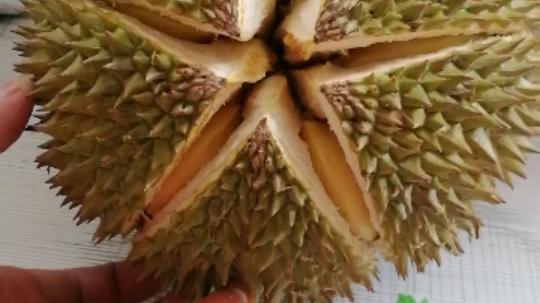 果鲜生26171视频_果鲜生26171的斗鱼视频空