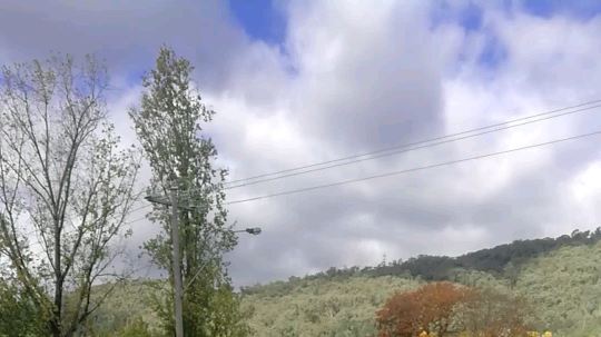 我是胖子王视频_我是胖子王的斗鱼视频空间_